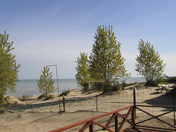 View of